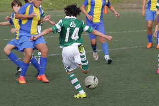 Kaiyun(中国)开云-中国足球外援依赖度趋势分析，中国足球外援依赖度趋势分析图